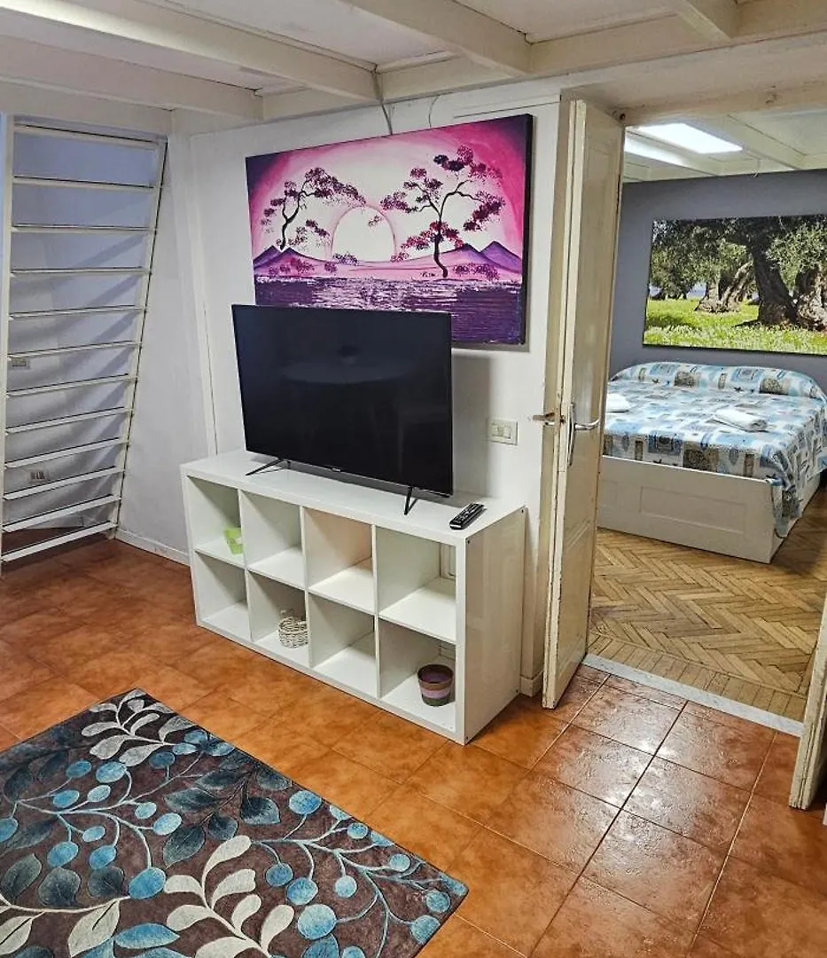 House In The Center Of Milan Apartment