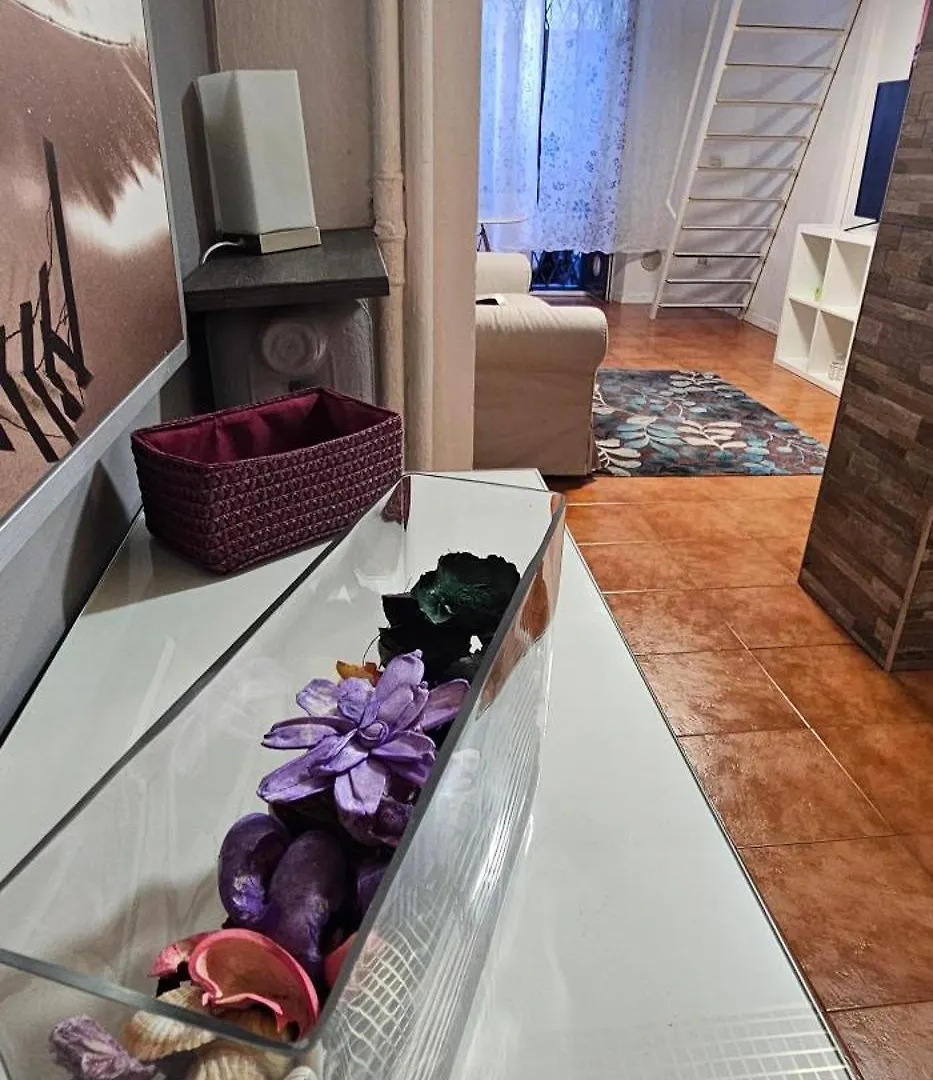 House In The Center Of Milan Apartment